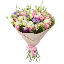 Soft  eustoma